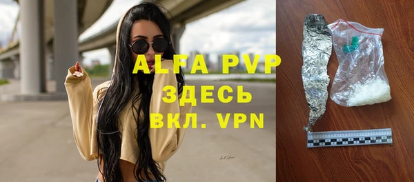 гашик Пересвет