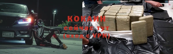 гашик Пересвет