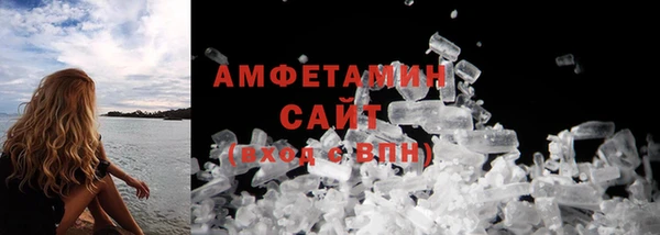 гашик Пересвет