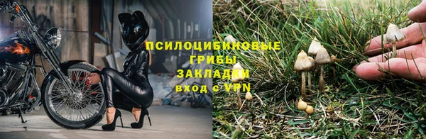 мескалин Переславль-Залесский