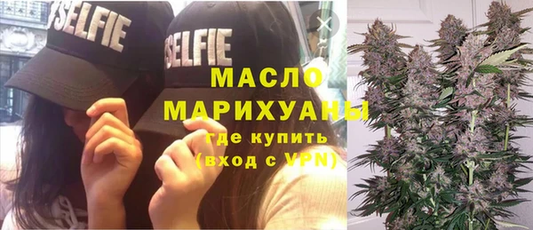 гашик Пересвет