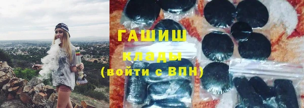 гашик Пересвет