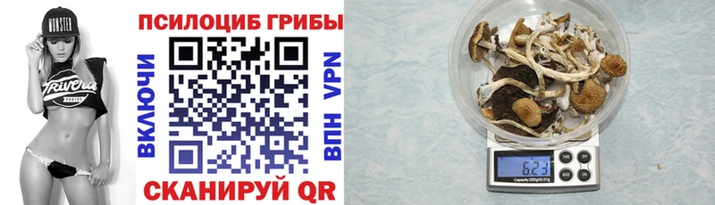 Галлюциногенные грибы прущие грибы  Биробиджан 