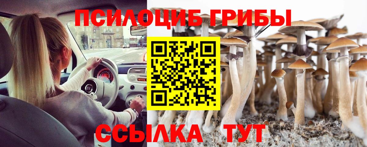 Галлюциногенные грибы Psilocybe Биробиджан