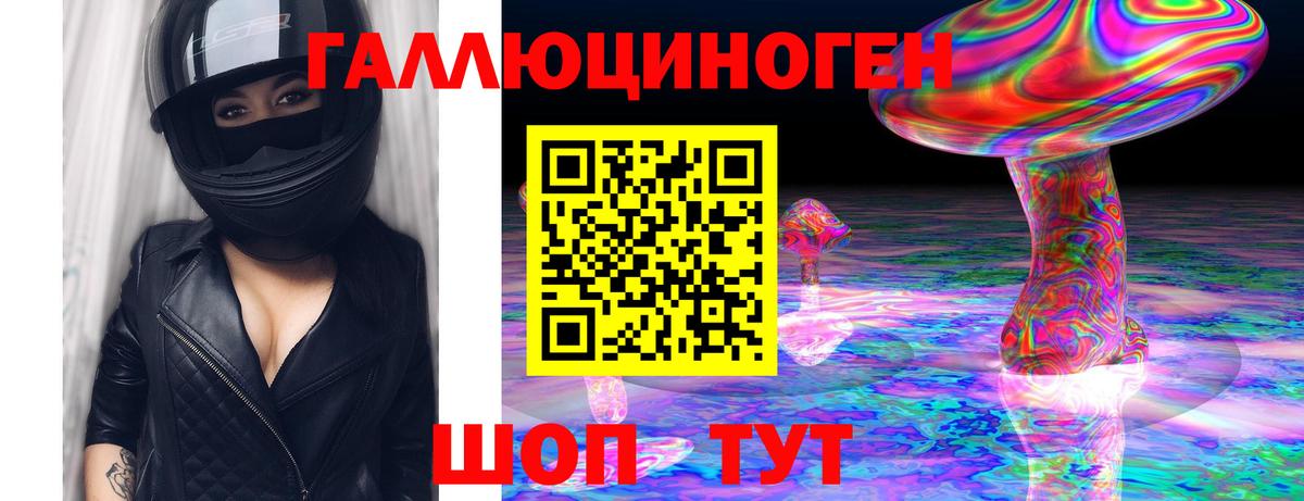 Псилоцибиновые грибы мицелий  Вход с VPN  Биробиджан  Псилоцибиновые грибы Psilocybe 